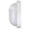 Nuvo LED Oval Bulk Head Fixture, White Finish with White Glass 62/1390 - alternate 7